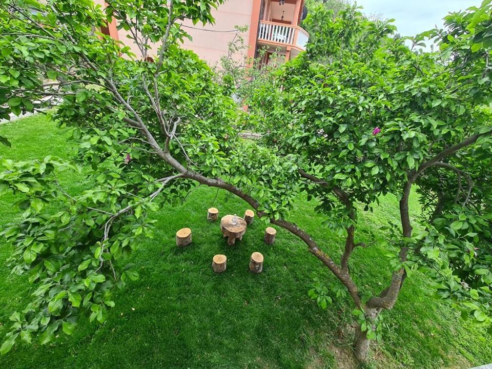 Holiday Home Vulezic Бар Екстер'єр фото